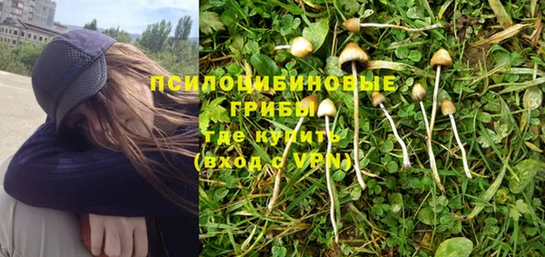 каннабис Дмитров