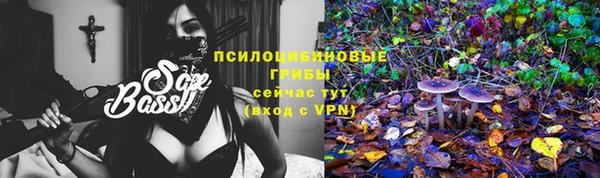 каннабис Дмитров