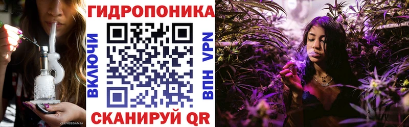 Купить закладки  Чайковский  Шишки марихуана сатива 